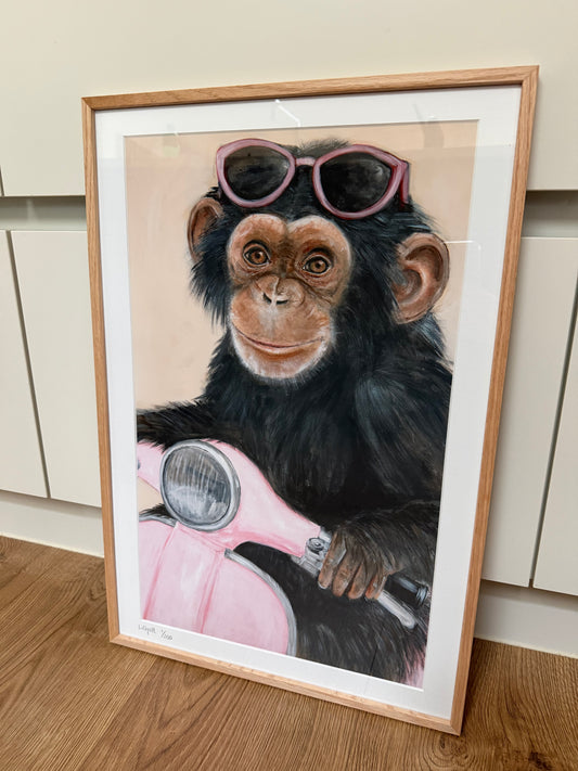 Chimpanse på scooter 40 x 60 cm med passepartout