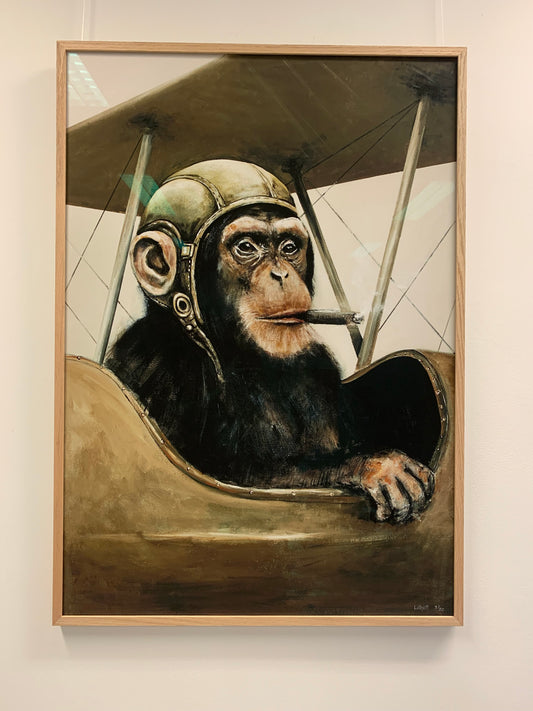 Flyvende Chimpanse 70 x 100 cm