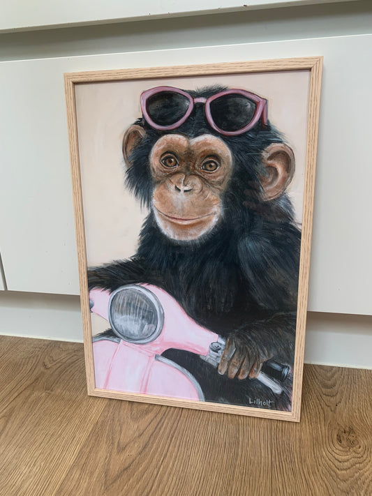 Chimpanse på Scooter, small print, ege look